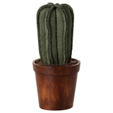 Miniatuur bloempot met cactus