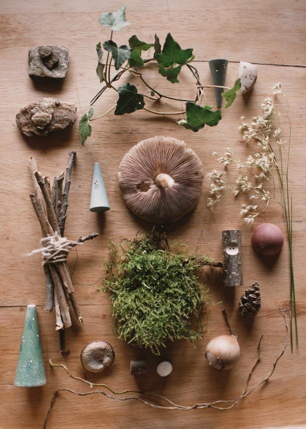 Calendrier de l'Avent 2025 - Néerlandais - Grapat