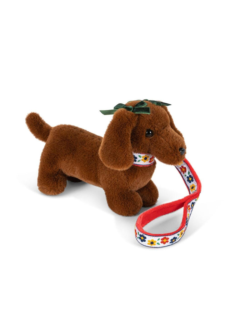 Knuffelpuppy