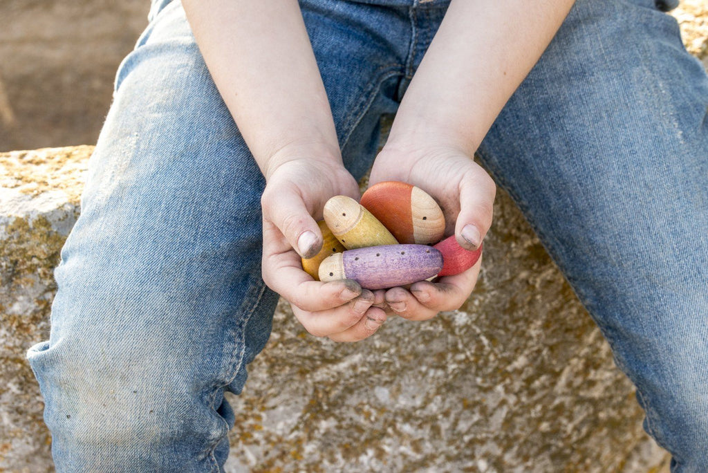 Houten insecten - Gapat