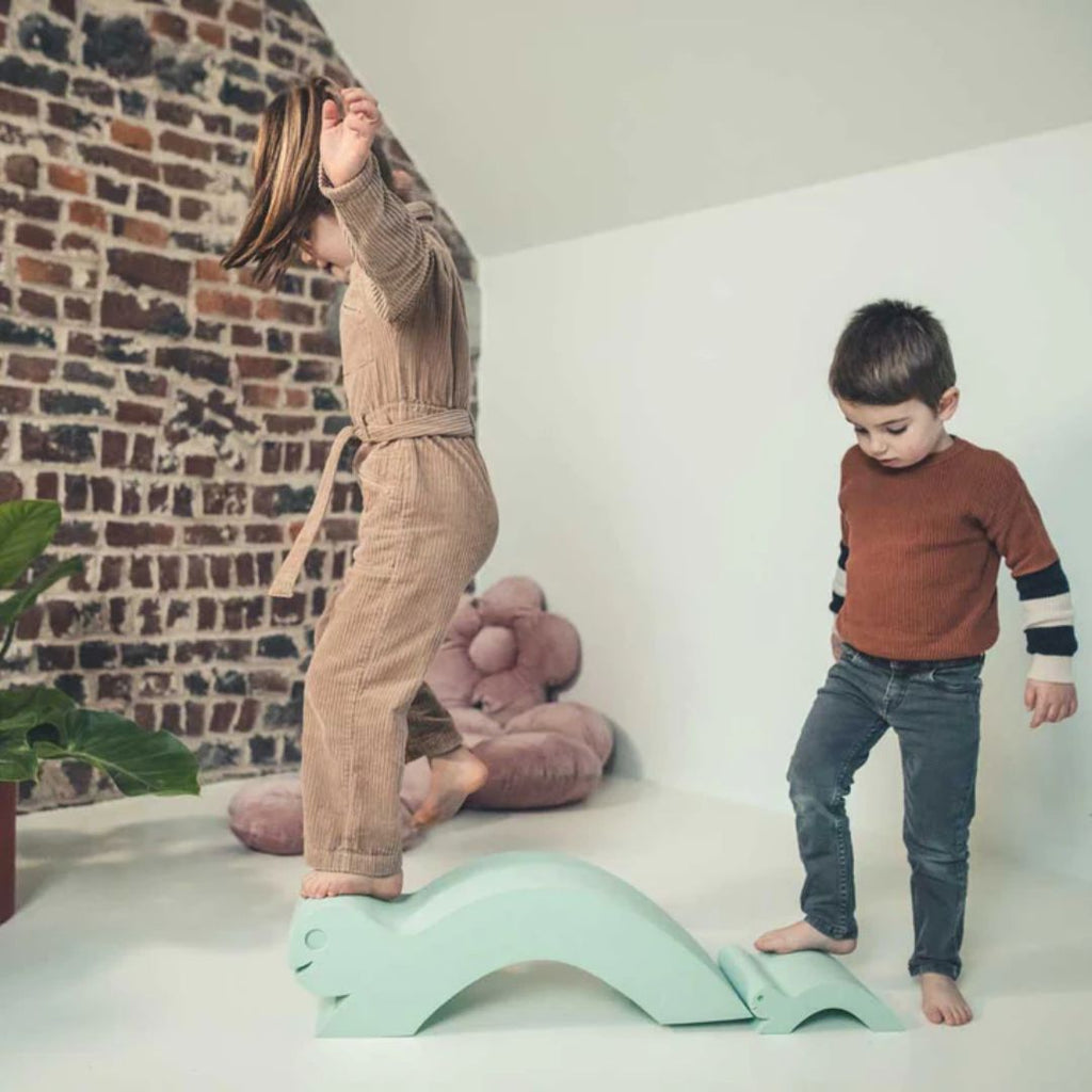 Schildpad set - Moes Play