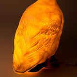 Nachtlampje Gans Large