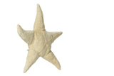 Étoile de mer en peluche avec graines de coussin chauffant - Petit - Senger Naturwelt